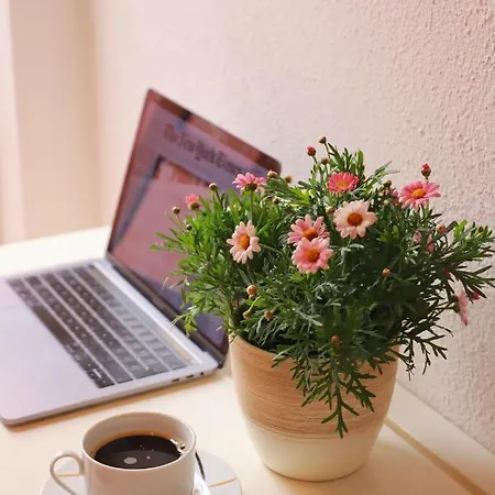 Bibic Appartement Vodice