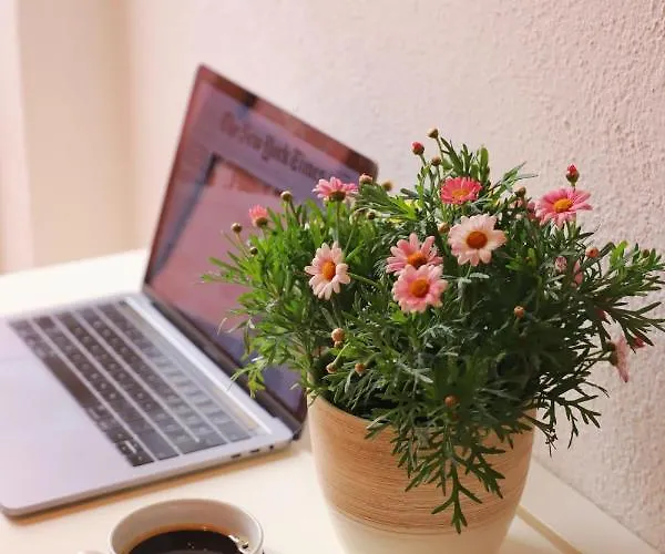 Bibic Lägenhet Vodice